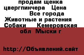 продам щенка цвергпинчера › Цена ­ 15 000 - Все города Животные и растения » Собаки   . Кемеровская обл.,Мыски г.